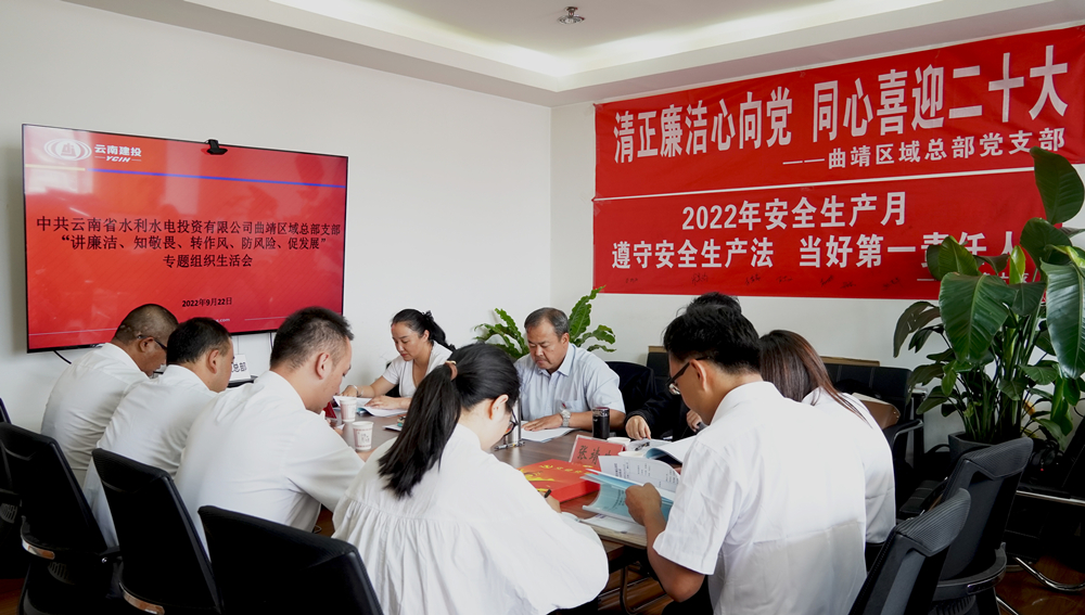 圖片312：“講廉潔、知敬畏、轉作風、防風險、促發展”專題組織生活會.jpg_副本.jpg